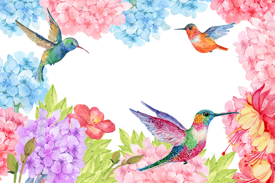 Kolibri mit Blumen Fototapete wallpaper mural