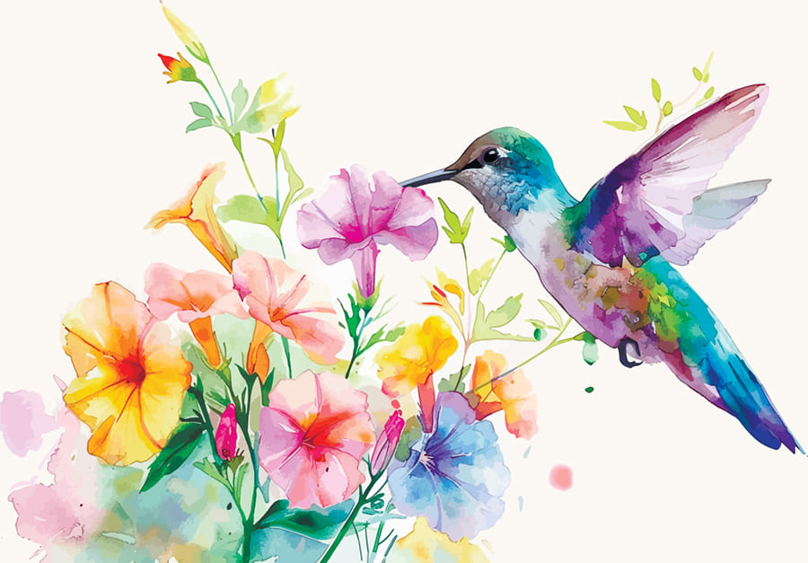 Bunter Kolibri Fototapete wallpaper mural