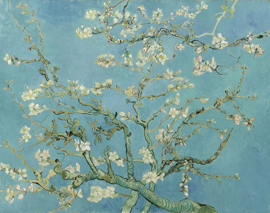 Van Gogh – Mandelblüte Fototapete wallpaper mural