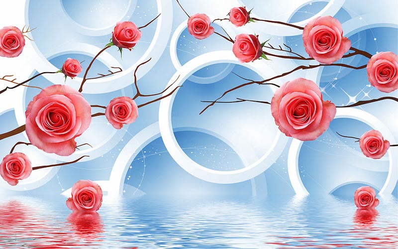 Rosen und Kreise Fototapete wallpaper mural