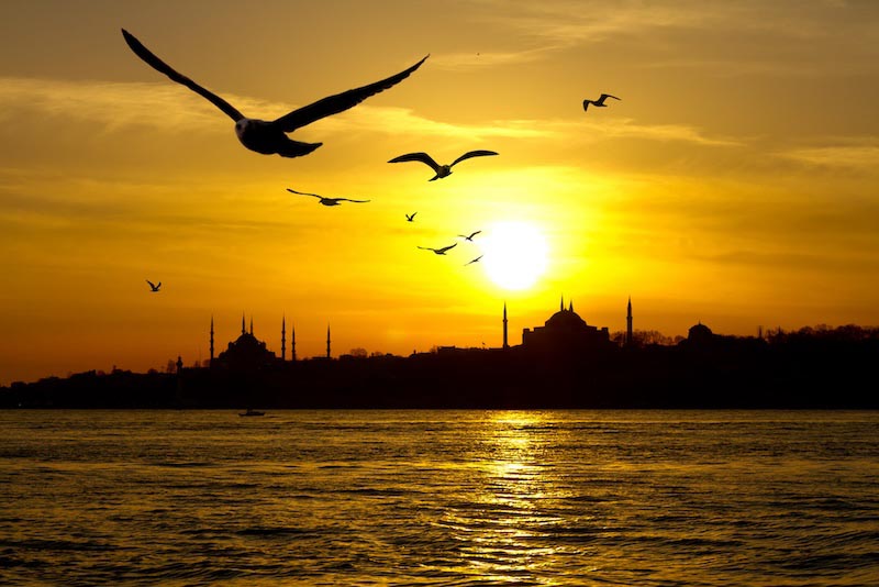 Möwen von Istanbul Fototapete wallpaper mural