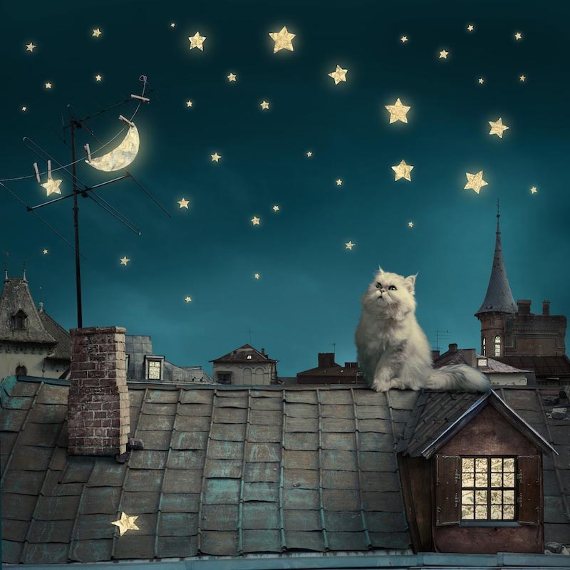 Ein Dach in Cihangir Fototapete wallpaper mural