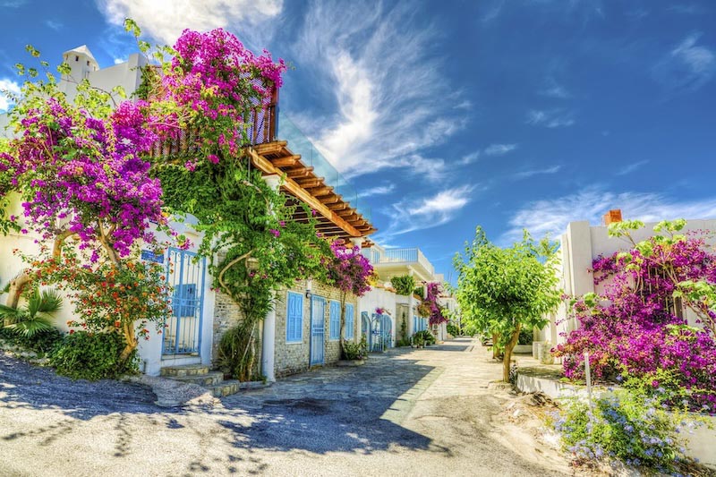 Eine Straße in Bodrum Fototapete wallpaper mural