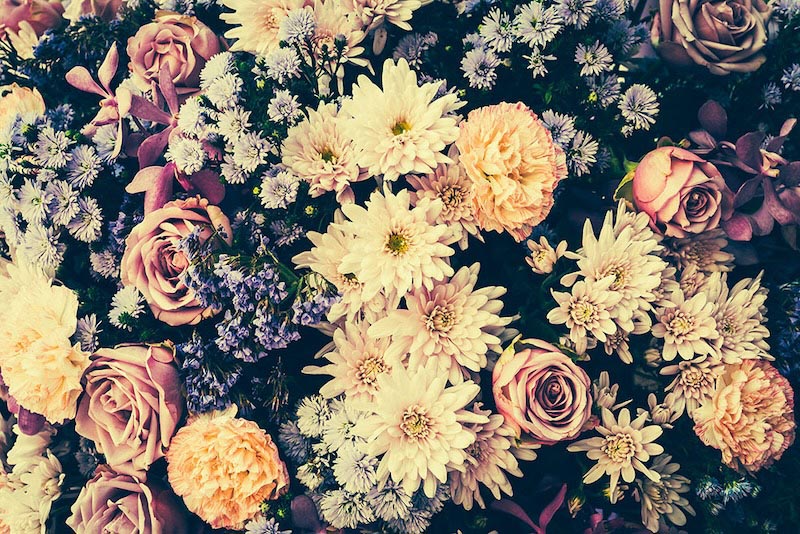 Nostalgische Blumen Fototapete wallpaper mural