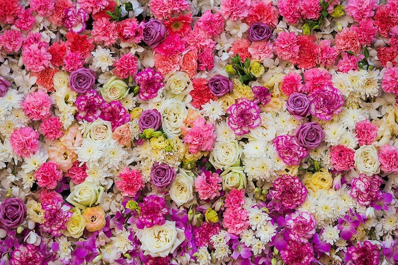 Wanddecoration Fototapete wallpaper mural