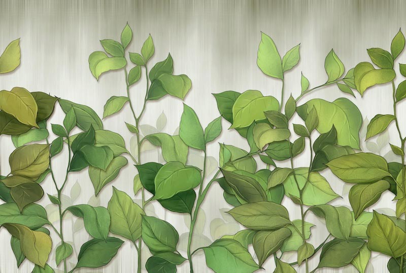 Pflanzen Fur Wohnzimmer Fototapete wallpaper mural