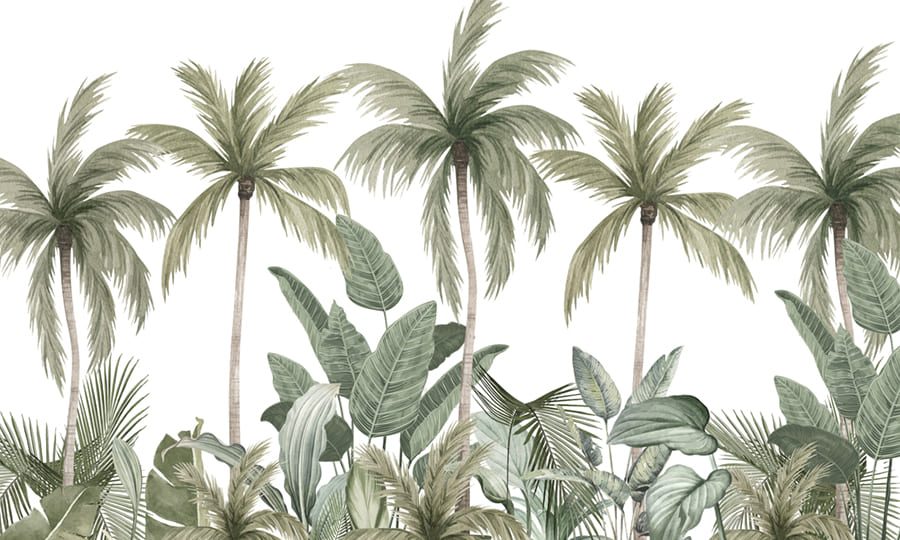 Botanische Palmblätter Fototapete wallpaper mural