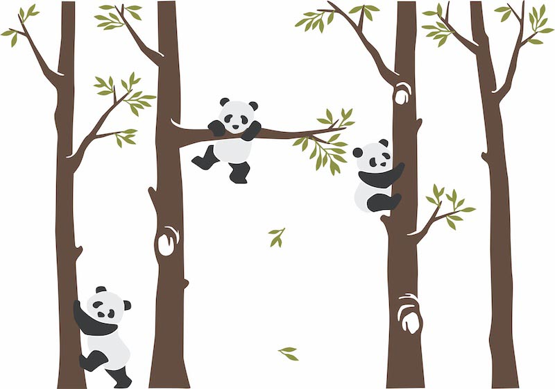 Panda im Wald Fototapete wallpaper mural