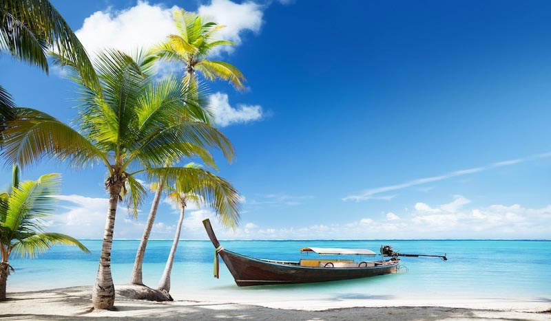 Urlaub in den Tropen Fototapete wallpaper mural