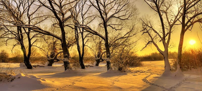 Einklang von Schnee und Sonne Fototapete wallpaper mural