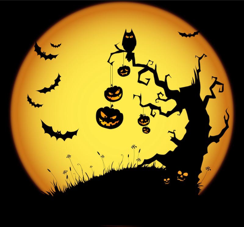 Halloween Fototapete wallpaper mural