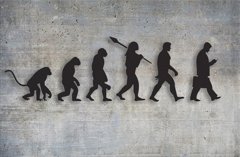 Anthropologie – Reise der menschlichen Evolution Fototapete wallpaper mural