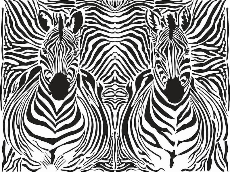 Zebrastreifen Fototapete wallpaper mural