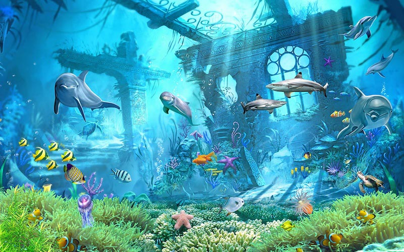 Aquariumbild Fototapete wallpaper mural