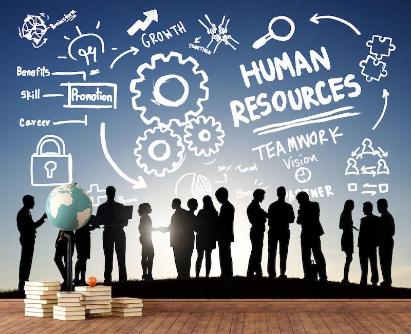 Human Resources Tapete | 3DFototapete - 2