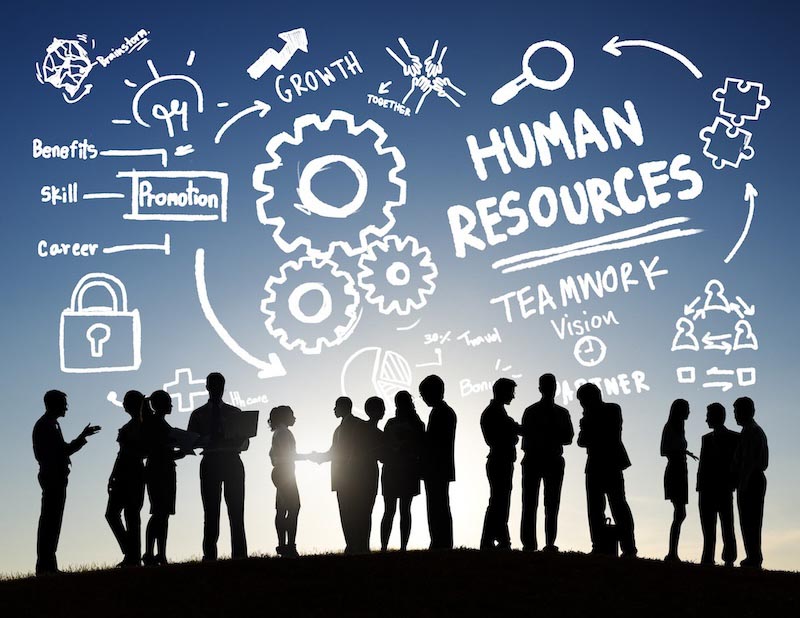 Human Resources Tapete | 3DFototapete