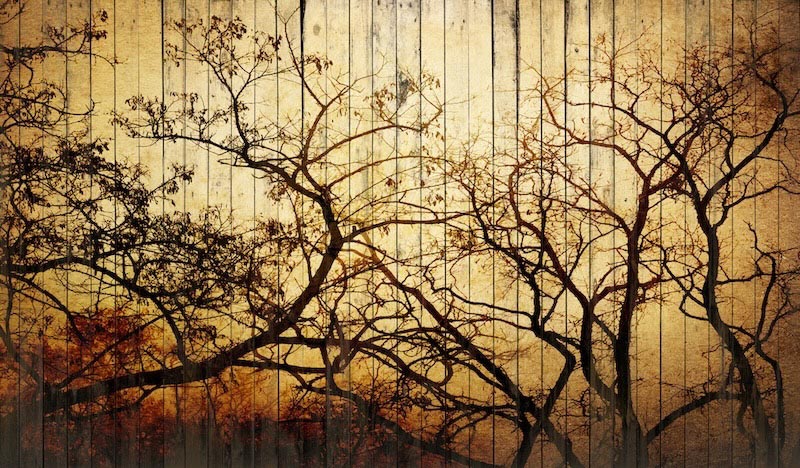 Kunst auf einer Holztafel Tapete | 3DFototapete