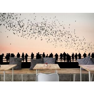 Vögel und Menschen Fototapete
