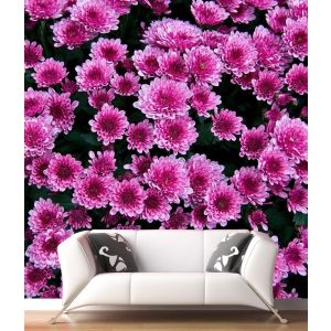 Purpurne Blumen Fototapete