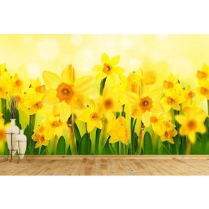 Sonne und Blumen Fototapete