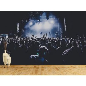 Konzertbereich Fototapete