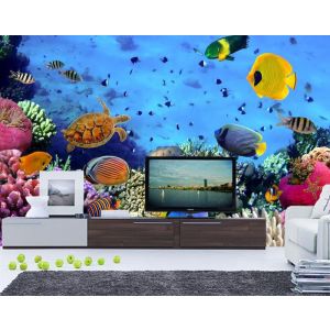 Aquarium Fototapete