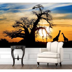 Safari beim Sonnenuntergang Fototapete