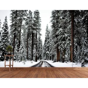 Reise im Schnee Fototapete