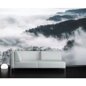 Bäume berühren den Himmel Fototapete