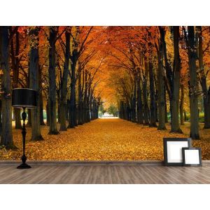 Herbstliche Straße Fototapete