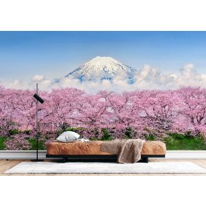 Mount Fuji mit Kirschblüten Fototapete