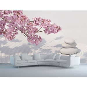 Kirschblüten-Zen Fototapete