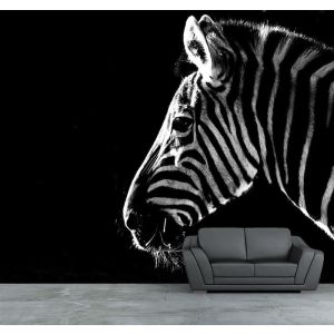 Zebra Fototapete