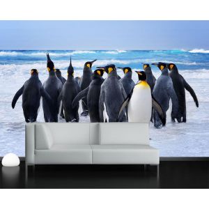 Pinguine Fototapete