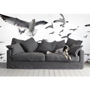 Weiße Vögel Fototapete