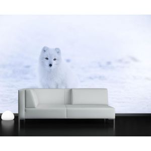 Einsamer Wolf Fototapete