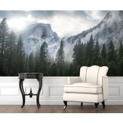 Wald und Schnee in Yosemite Park Fototapete