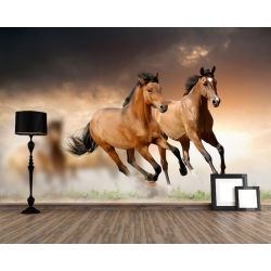 Im Galopp Fototapete