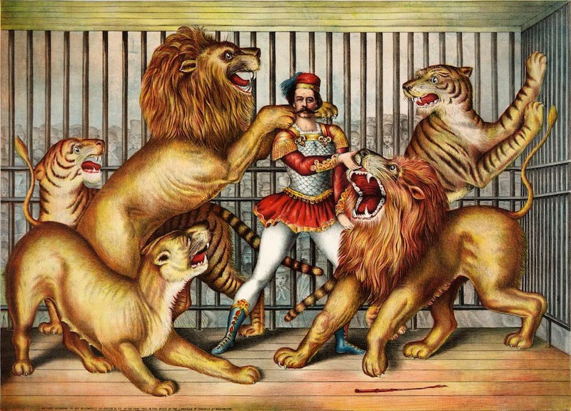 Lion Tamer Tapete | 3DFototapete