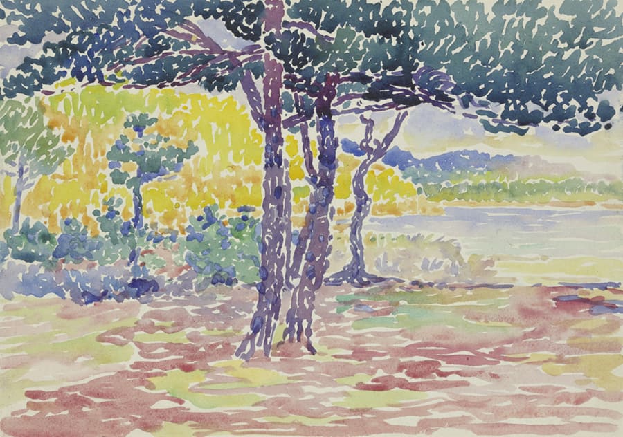 Farbenfrohe Pinienlandschaft Tapete