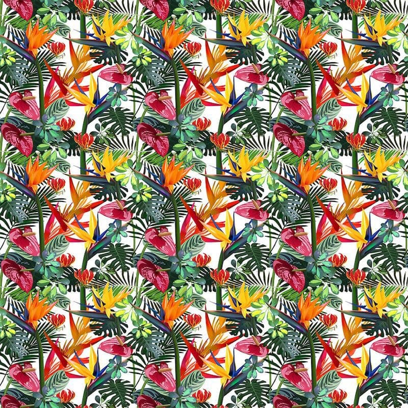Tropisches Blumenmuster Tapete | 3DFototapete