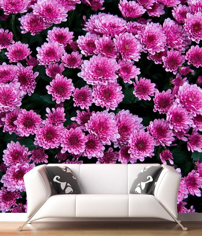 Purpurne Blumen Tapete | 3DFototapete - 2