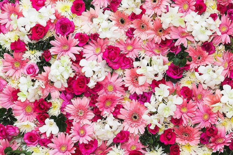 Pinker Blumenstrauß Tapete | 3DFototapete
