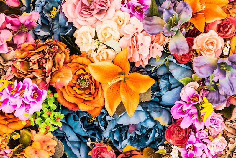 Liverly Blumen Tapete | 3DFototapete