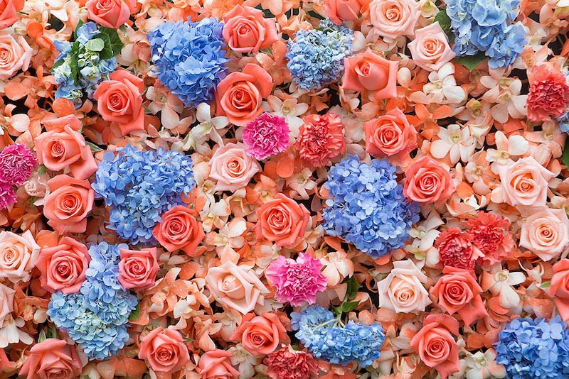Hochzeitsblumen Tapete | 3DFototapete