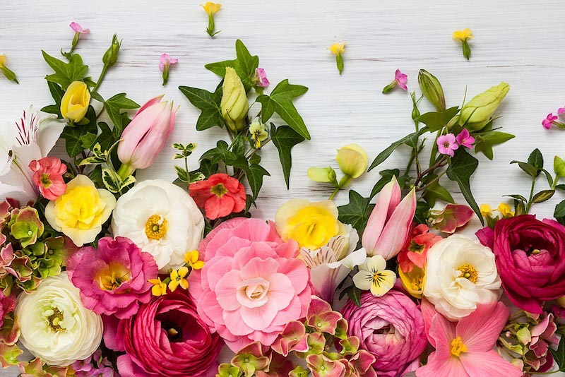 Blumenausstellung Tapete | 3DFototapete