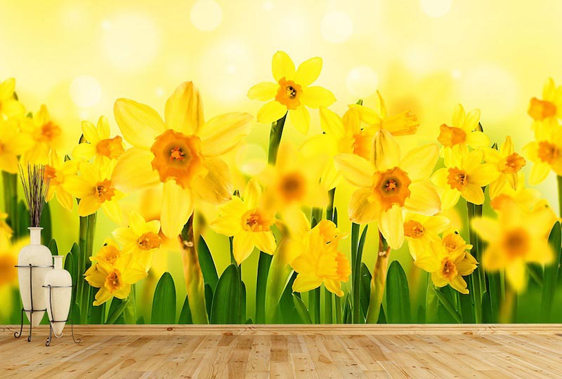 Sonne und Blumen Tapete | 3DFototapete - 2
