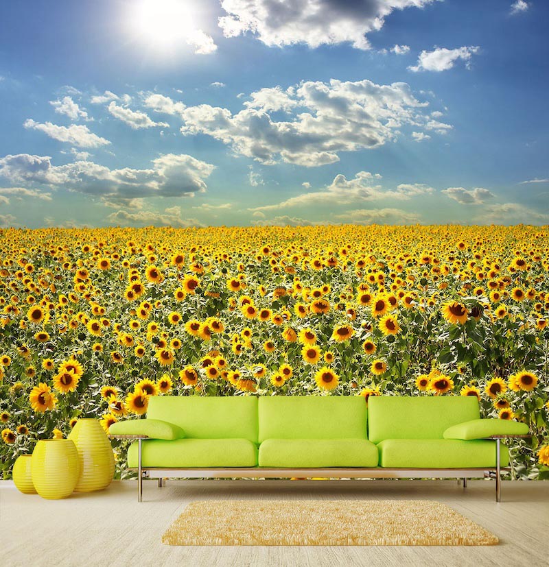 Sonnenblumenlandschaft Tapete | 3DFototapete - 2