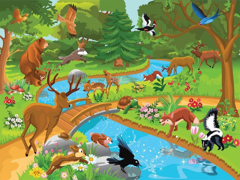 Leben im Wald Tapete | 3DFototapete