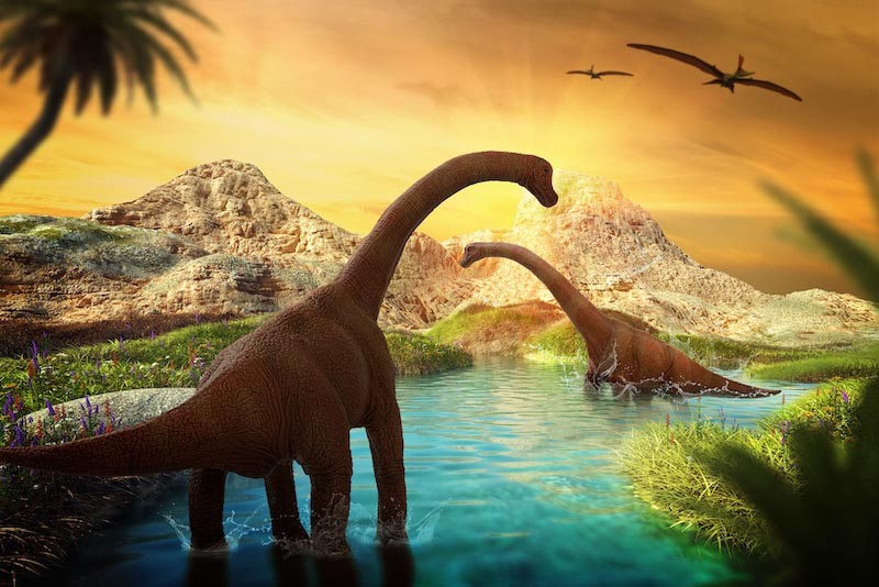 Zeitalter der Dinosaurier Tapete | 3DFototapete